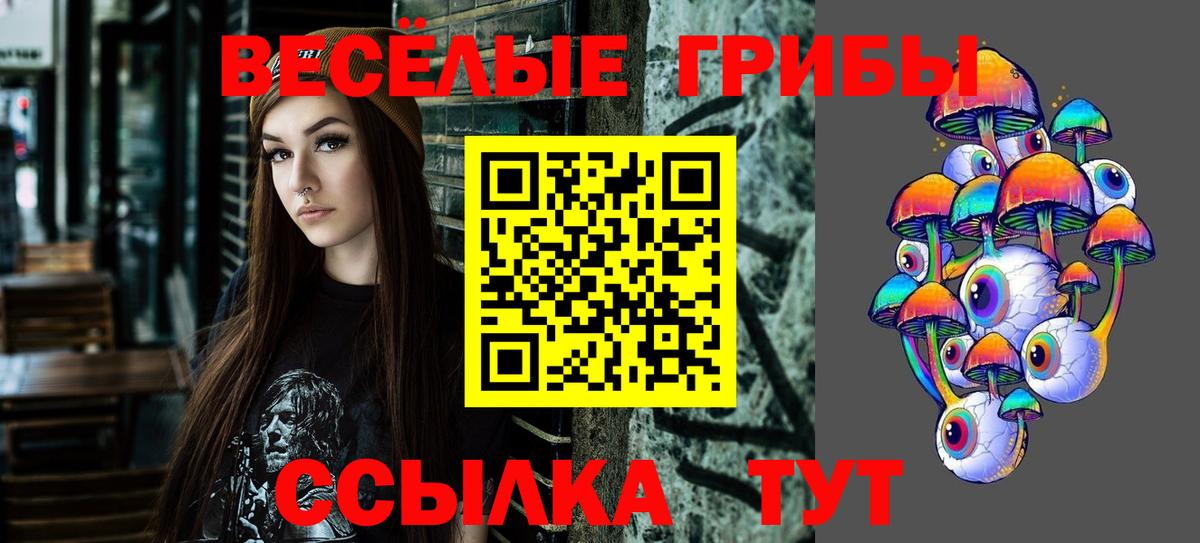 Псилоцибиновые грибы мицелий  Псилоцибиновые грибы Cubensis  Екатеринбург  Вход с VPN 