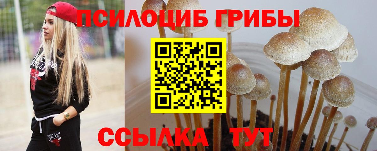 Псилоцибиновые грибы Cubensis Екатеринбург